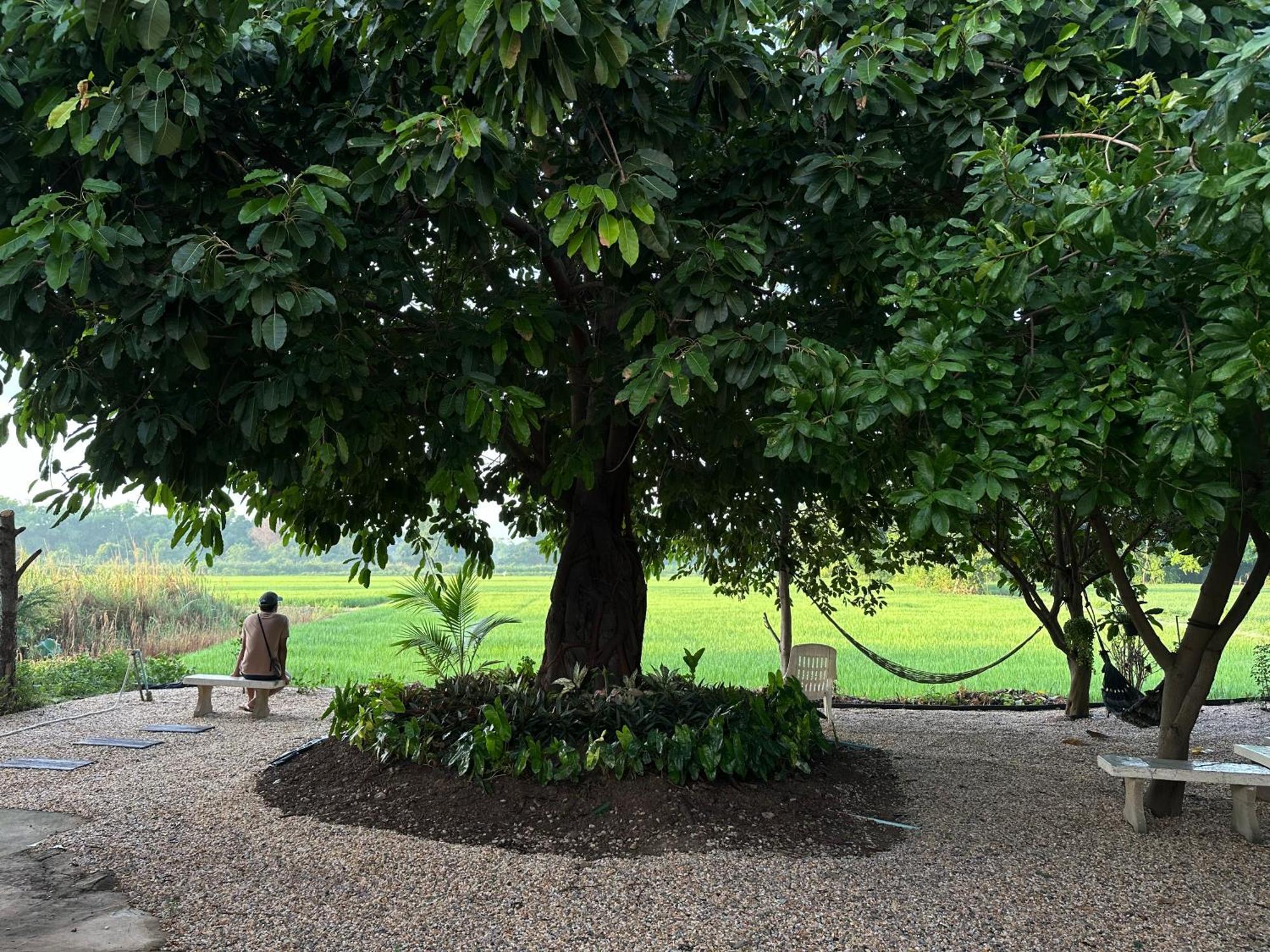 Ban Suweena Uthai Thani Luaran gambar